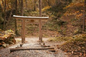 torii, japan, autumn, season, scenic, asia, culture, nature, japan, japan, japan, japan, japan, culture