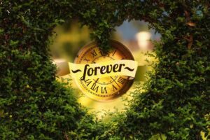 promise, clock, time, forever, heart, sweetheart, love, romance, happiness, valentine's day, nature, romantic, valentine, plant, divorce, relationship, married, few, together, before, people