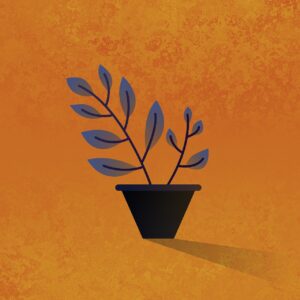 plant, plant pot, garden, organic, branches, leaves, natural, nature, decorative, flat design, 2d