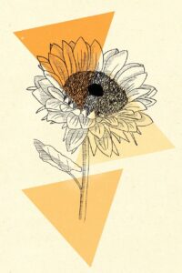 sunflower, nature, background, drawing, art, iphone wallpaper, sunflower, sunflower, sunflower, sunflower, sunflower