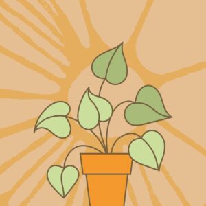 plant, ivy, boho, pattern, flora, nature, plant, plant, boho, boho, boho, boho, boho, pattern