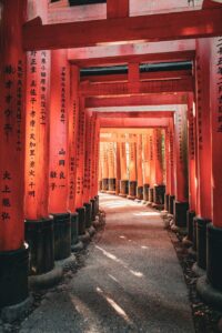 shrine, torii, japan, fushimi, nature, temple, kyoto, fushimi inari, japanese, culture, asia, architecture, traditional, famous, landmark, sightseeing, fushimi-inari shrine, historical, tourism