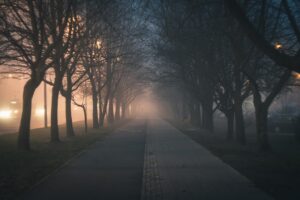 city, walkway, trees, sidewalk, avenue, nature, street, fog, haze, pavement, cycling road, landscape, park, lights, evening, night, twilight, traffic, poland