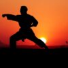 karate, kata, sport, defend, fight, standing, man, silhouette, technical, competition, karate, karate, karate, karate, karate