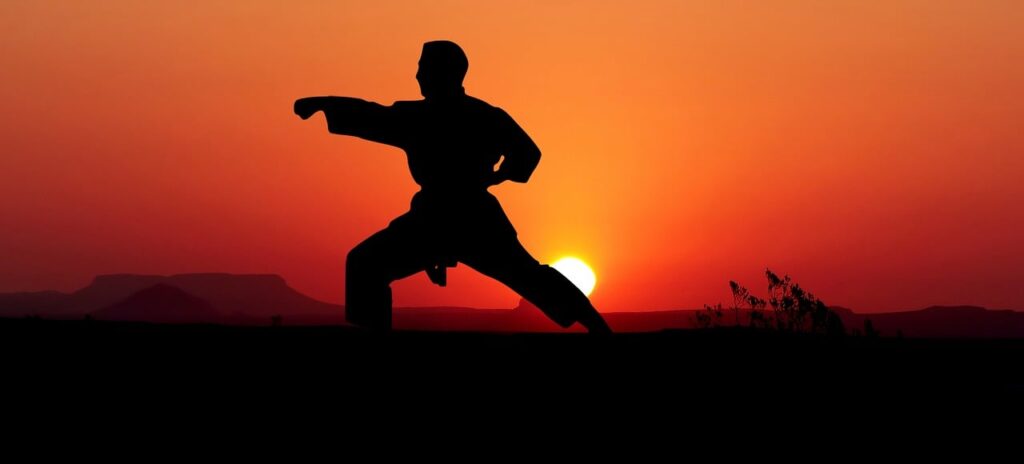karate, kata, sport, defend, fight, standing, man, silhouette, technical, competition, karate, karate, karate, karate, karate