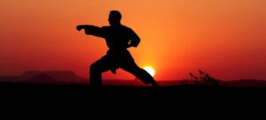 karate, kata, sport, defend, fight, standing, man, silhouette, technical, competition, karate, karate, karate, karate, karate