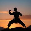 man, warrior, sunset, kung fu, action, master, silhouette, karate, nature, sport, ninja, shaolin, fight, fighter, wushu, pose, mountain