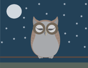 owl, baykuş, vektör, uyku, sleep, sleepy, blue sleep, blue sleeping, owl, sleep, sleepy, sleepy, sleepy, sleepy, sleepy