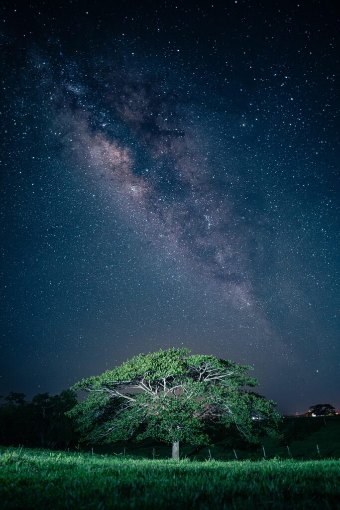 tree, rain, milky way, night, nature, nightscape, galaxy, space, landscape, iphone wallpaper, aesthetic wallpaper, phone wallpaper, iphone wallpaper, iphone wallpaper, iphone wallpaper, iphone wallpaper, iphone wallpaper